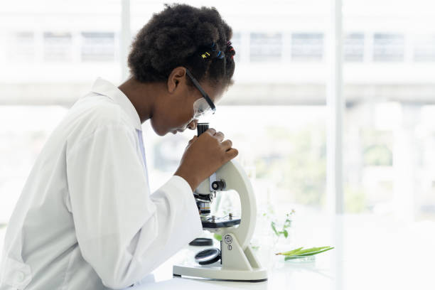 scienziati afroamericani che imparano la scienza e fanno analisi per germi e batteri al microscopio in laboratorio. scienza e istruzione, ricercatrice e concetto di scoperta - laboratory scientist african ethnicity science foto e immagini stock