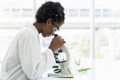 istock African American girl scientists learning science and doing analysis for germs and bacteria with microscope in the laboratory. Science and education, researcher and discovery concept 1301248901