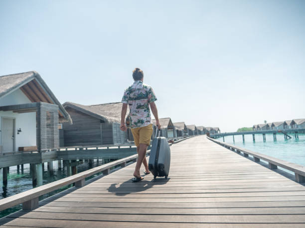 istock Man pulls trolley on wooden pier in tropical destination 1301248973