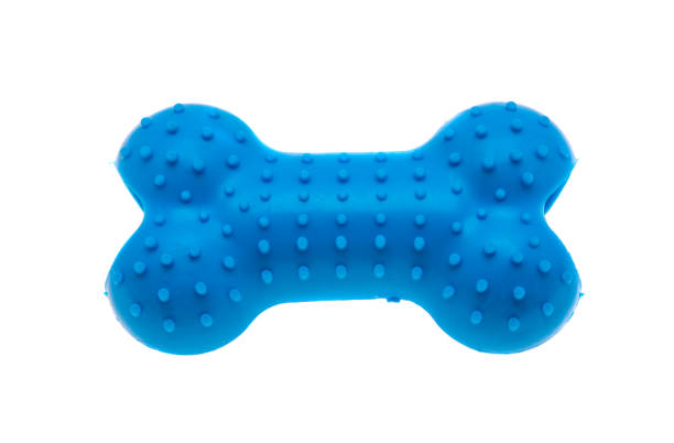 istock dog toys isolated 1301249443