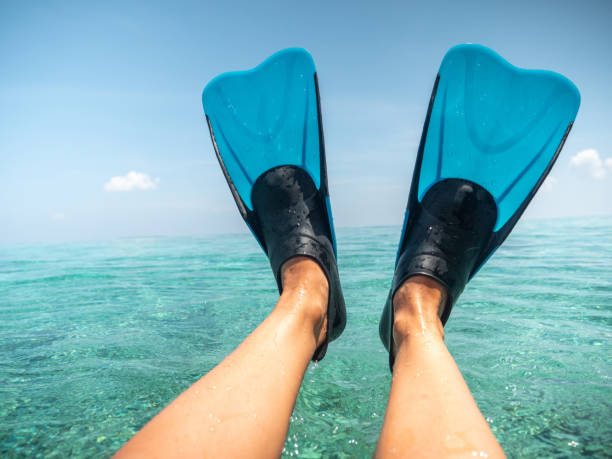istock Woman's perspective, diving flipper over tropical lagoon 1301250632