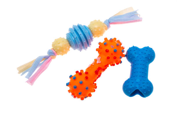 istock dog toys isolated 1301252236