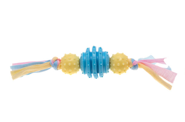 istock dog toys isolated 1301252277