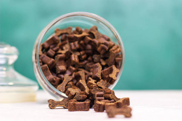 istock Treats in a jar for pets 1301253580