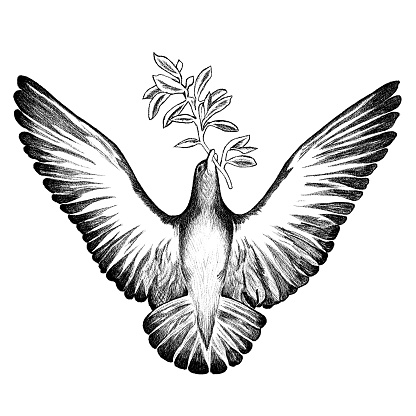 a flying pigeon drawn in lines with a twig in its beak