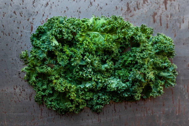 istock Kale leaves on steel background 1301253913