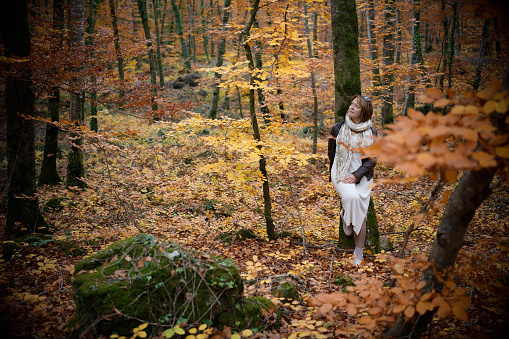 Woman in a mystic beech forest in autumn leaning on a tree trunk looks the trees