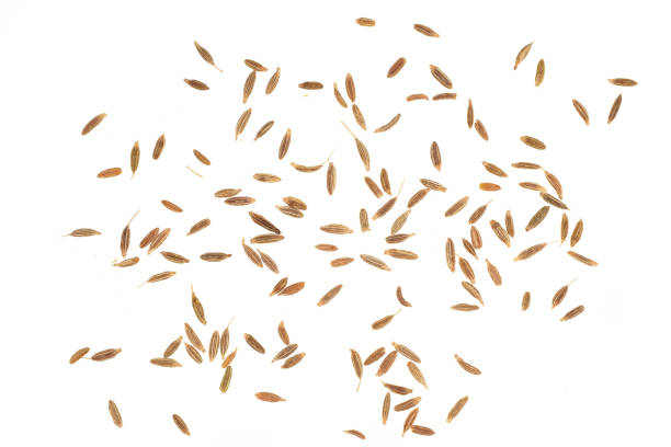 istock Scattered cumin seeds isolated on white background with clipping path 1301255954