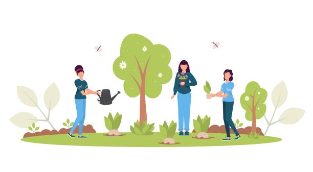 ilustrações, clipart, desenhos animados e ícones de conceito de reflorestamento da primavera. restauração florestal, reflorestamento de árvores, dia do meio ambiente. - afforestation