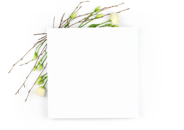 istock Spring composition. White flowers, paper blank white background. Flat lay, top view, copy space, mock up. 1301257065