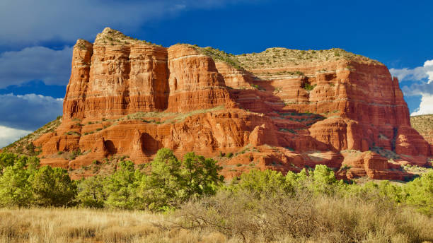 istock Munds Mountain Wilderness, Arizona USA 1301258274