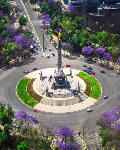 podwyższone wziąć anioła niepodległości w otoczeniu jacarandas w meksyku - paseo de la reforma zdjęcia i obrazy z banku zdjęć