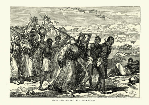 Trans-Saharan slave trade, Slaves forced to cross desert, 19th Century Vintage illustration of Trans-Saharan slave trade, Slaves forced to cross desert, 19th Century african slaves stock illustrations