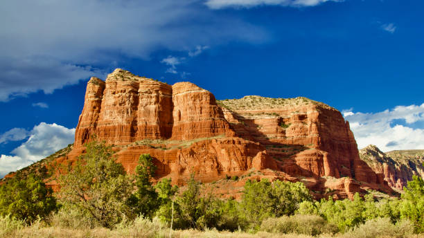 istock Munds Mountain Wilderness, Arizona USA 1301259467