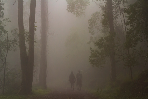 Rear view of Couple holding hands and walking on forest in misty day