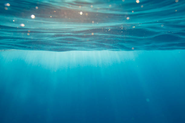 oceano marinho azul claro com raios de luz que vêm através da superfície da água - underwater sea water surface surface level - fotografias e filmes do acervo