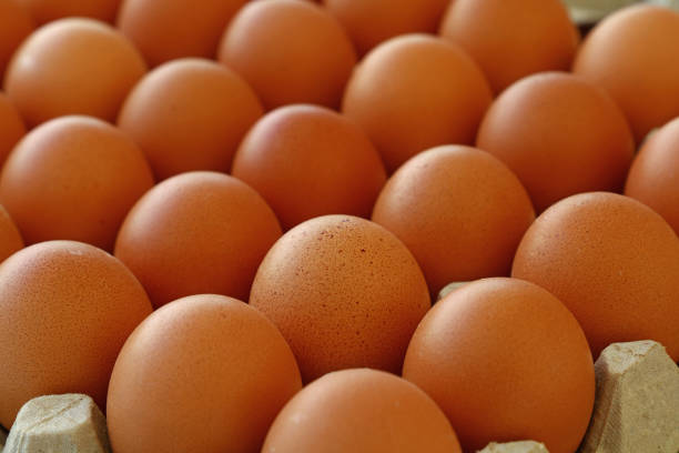 Close up many fresh brown chicken eggs in tray carton at retail display of farmers market, high angle view
