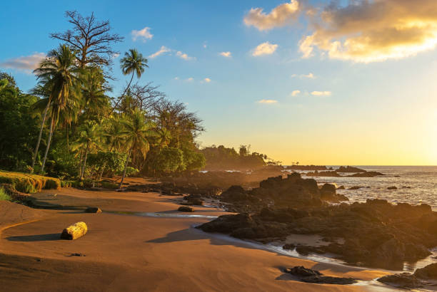 Beach Sunset, Corcovado national park, Costa Rica Pacific Ocean beach sunset, Corcovado national park, Osa Peninsula, Costa Rica. tortuguero national park photos stock pictures, royalty-free photos & images