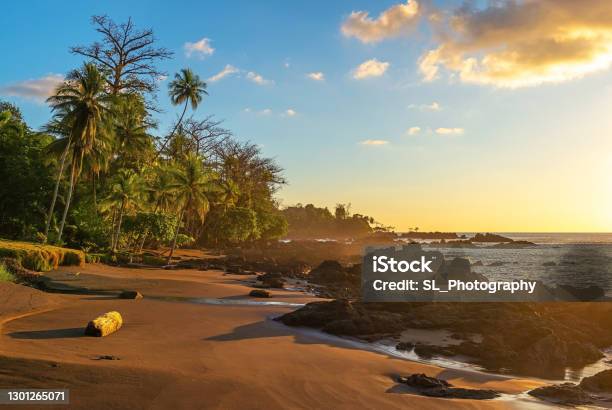 Beach Sunset Corcovado National Park Costa Rica Stock Photo - Download Image Now - Costa Rica, Tortuguero National Park, Corcovado National Park