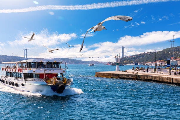 istock Ship is sailing near the Bosphorus bridge with seagulls around it, Istanbul 1301265087