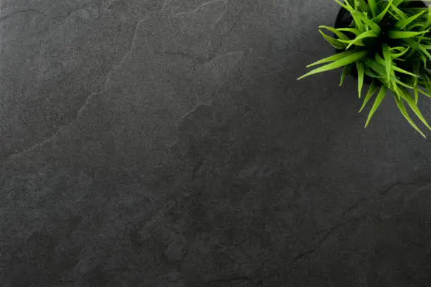 Top view of  table or countertop of a beautiful dark slate stone with a green plant