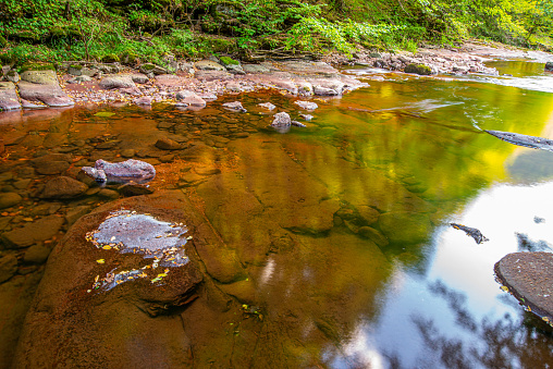 Scenic landscape at Cranberry Bog County Park in Riverhead,  Suffolk County,  Long Island NY.