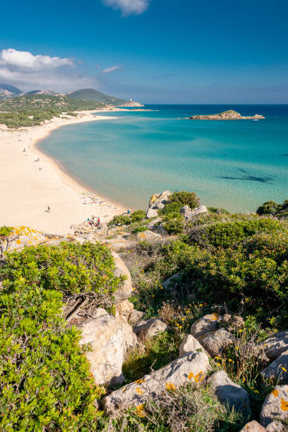 istock white sand and crystal clear waters at Su Giudeu beach, Chia 1301268229