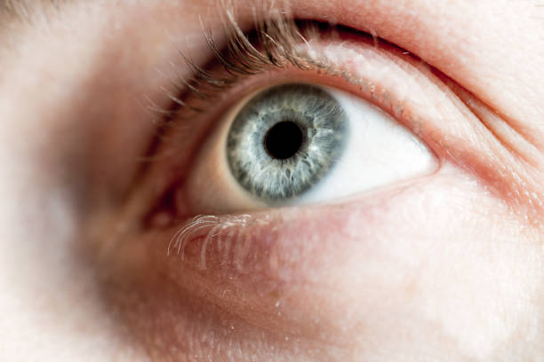 istock Light gray-blue eye looks up. Close-up 1301268247