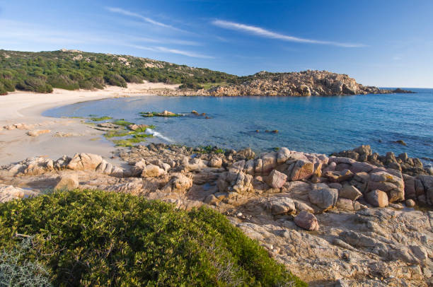 istock white sand and crystal clear waters at Cala Cipolla beach, Chia 1301268509