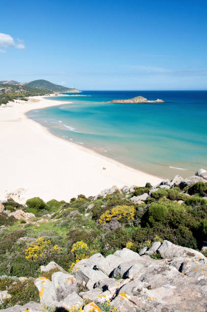 istock white sand and crystal clear waters at Su Giudeu beach, Chia 1301268581
