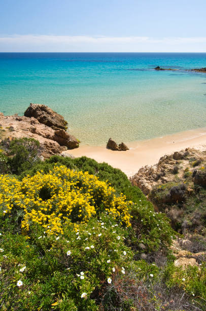istock white sand and crystal clear waters at Del Morto beach, Chia 1301269202