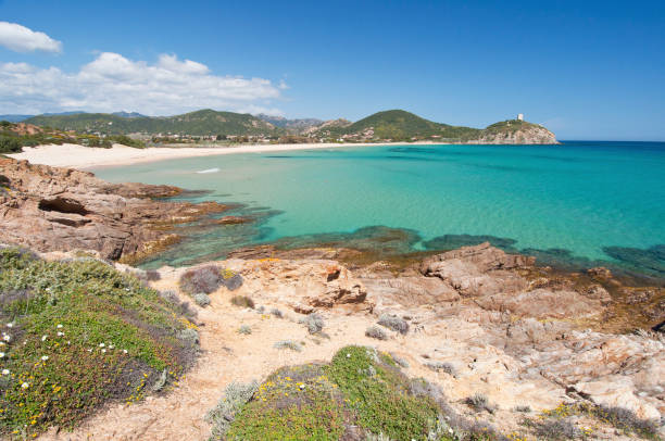 istock white sand and crystal clear waters at Sa Colonia beach, Chia 1301269215