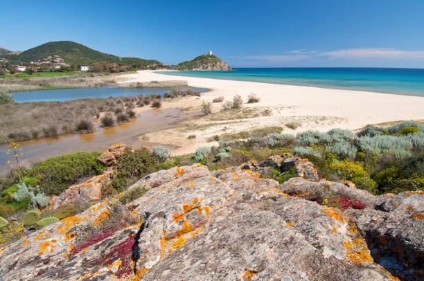 istock white sand and crystal clear waters at Sa Colonia beach, Chia 1301269444