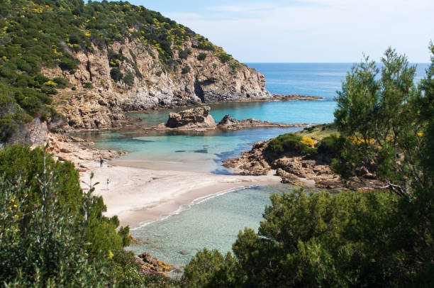 istock white sand and crystal clear waters at Su Cardulinu beach, Chia 1301269474