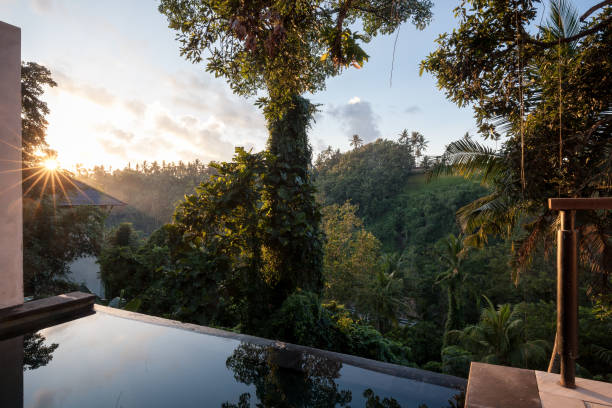 istock Jungle sunrise in Ubud, Bali, Indoniesia 1301269531