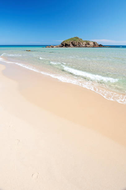 istock white sand and crystal clear waters at Su Giudeu beach, Chia 1301269574