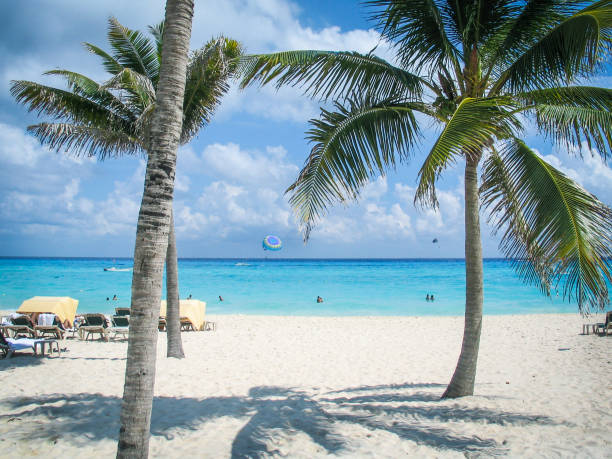 istock Mexican Riveria beach on sunny day with beautiful clouds and palm trees with shadow on sand - swimmers in ocean and lounging and boat and parachutes in water 1301271364
