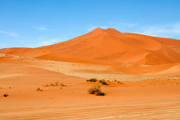 Majestic Namibian Desert Sand Dunes at Sossusvlei, Sesriem, Namib-Naukluft National Park, Namibia, South Africa.