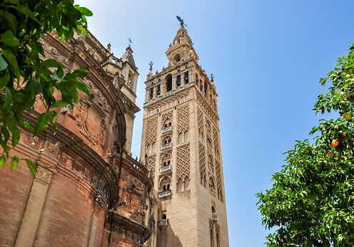 City life in Seville, Andalusia, during a summer day. Seville is the capital city of Andalusia, Spain