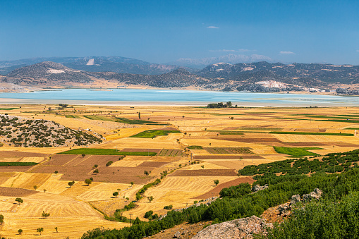 Agricultural fields harvested wheat and other crops with mountains and a lake in the background. Aerial view