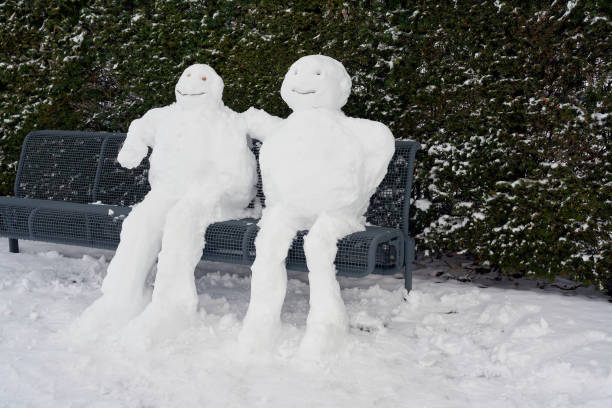 cut snowman, toy