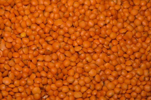 full frame macro shot of red lentils - lentil full frame macro close up imagens e fotografias de stock