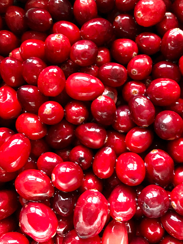 Stock photo showing a close-up, elevated view of fresh, red cranberries held in a metal bowl after being washed.