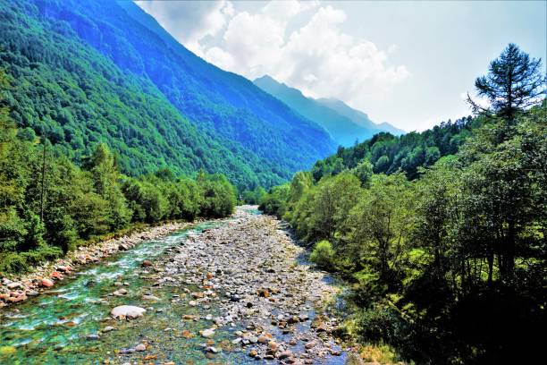 río turquois verzasca y hermoso paisaje en un día soleado - riverbed switzerland valley stone fotografías e imágenes de stock