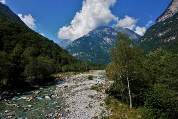 istock Typical landscape in the Valle Verzasca, Ticino 1301278424