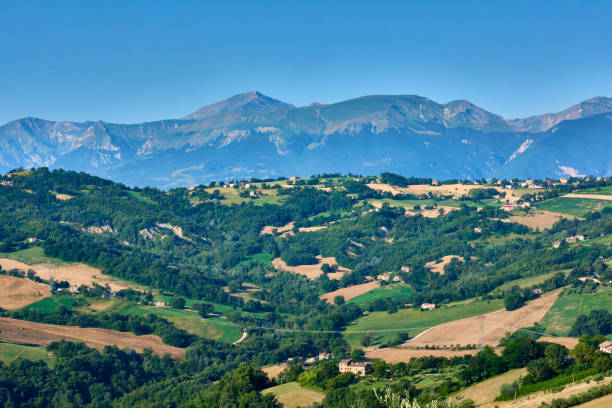 The hills of Le Marche with Monti Sibillini in the background A beautiful view to the hills of Le Marche with the Monti Sibillini in the background marche italy stock pictures, royalty-free photos & images