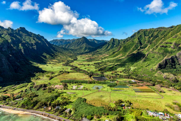 istock Coastal Oahu Landscape Aerial 1301281895