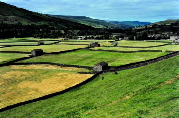 istock English Farms 1301281924