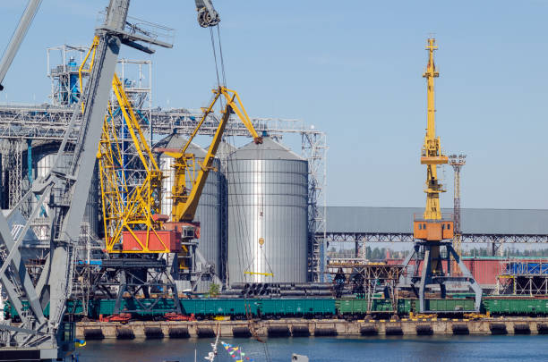 istock Lifting harbor cranes, shipping containers and granaries in the cargo seaport 1301281945