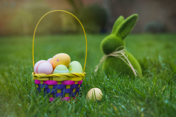 panier de pâques avec des oeufs colorés et statuette de lapin de lapin de pâques sur l’herbe verte avec la rosée. chasse aux oeufs de pâques dans le jardin. tradition festive sûre pendant la pandémie. mise au point sélective, espace copie. - figurine easter egg easter holiday photos et images de collection